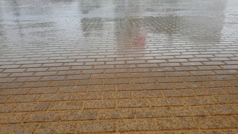 Rain on the pavement. Rain on the square. Rain on the sidewalk. Stock-Footage 112325569