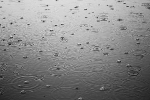 Rain Stock Photos