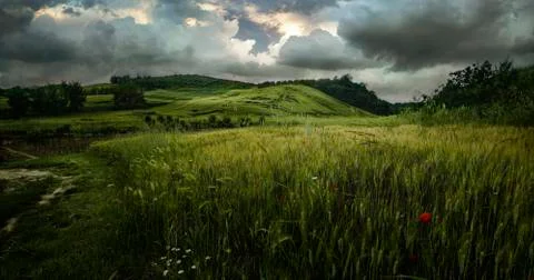 Before rain Фото