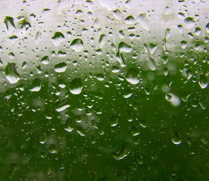 Rain Stock Photos