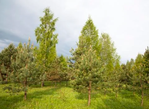 Before the rain Stock Photos