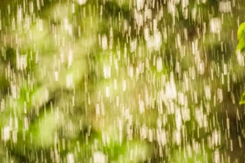 Rain Stock Photos