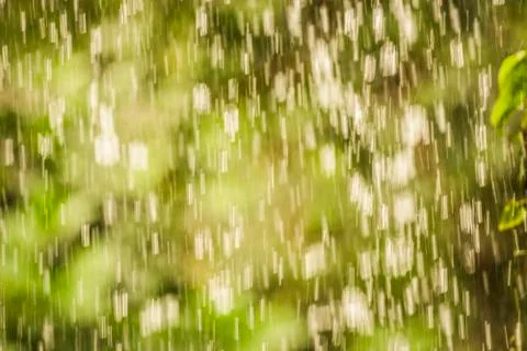 Rain Stock Photos