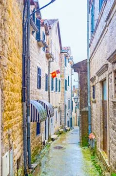 The rain 스톡 사진