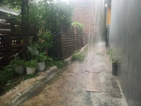 The rain Stock-Fotos