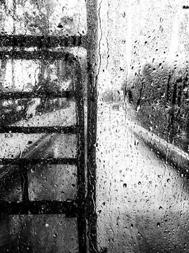 Rain Stock Photos
