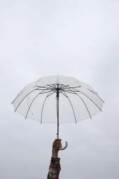 Rain Stock Photos