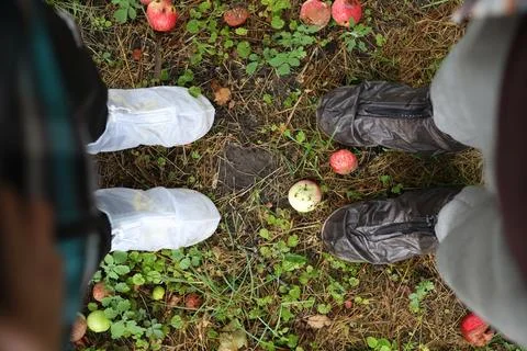 Rain Stock Photos