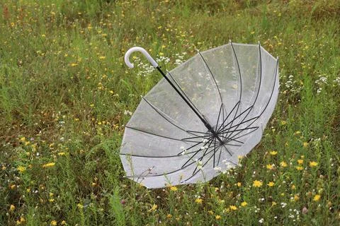 Rain Stock Photos