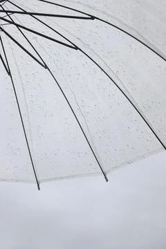 Rain Stock Photos