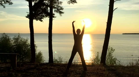 Rain in a pine forest Stock Footage 66380211