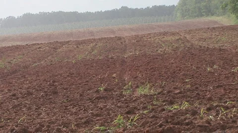 Rain Plowed Field Видео 1032883