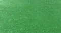 Rain on Pond 02 Water Ripples HD Footage