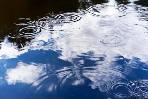 Rain, pond and summertime Foto stock