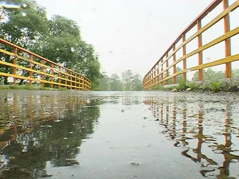 Rain pond Video stock 1423140