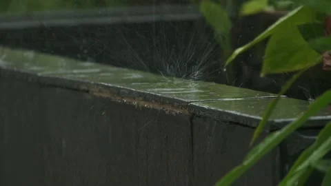 RAIN AT POND Stock Footage 131536473