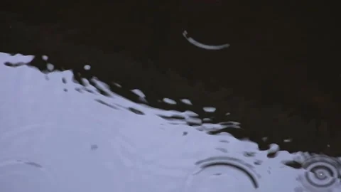 Rain On Pond Stock Footage 147632477