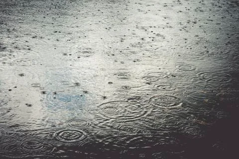 Rain on a pond Stock Photos