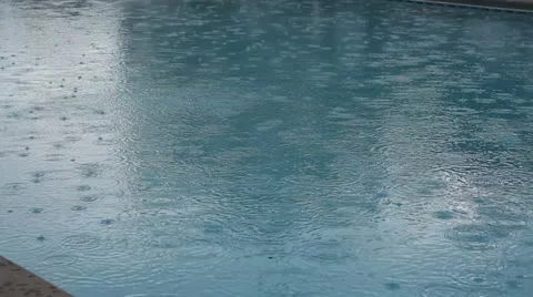 Rain Pool Video stock 12530893