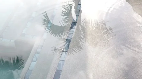 Rain on pool grey surface palm tree reflection blue tile Stock Footage 135691762
