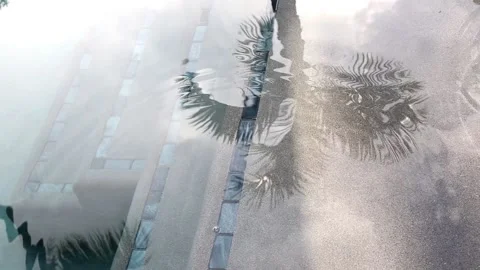 Rain on pool grey surface palm tree reflection blue tile Stock Footage 135691948