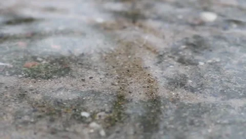 Rain in pool on pavement Stock Footage 8521332