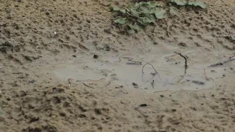 Rain pooling in a pool in the sand Stock Footage 233382005