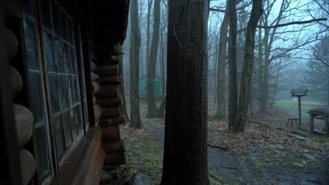 Rain from Porch 動画素材 216232383