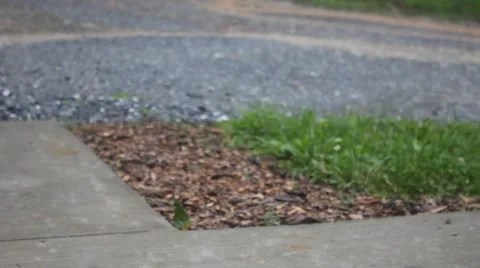 Rain pouring down Stock Footage 44444333