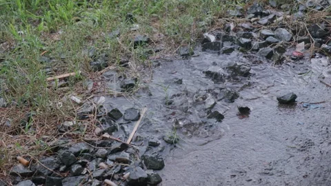 Rain pouring down on grass and gravel. Grass and Stones. Wet Stones. Stock Footage 245527545