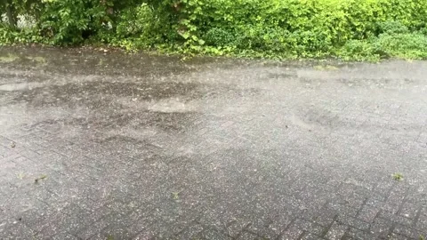 Rain pouring down on the pavement. Stock Footage 248831559