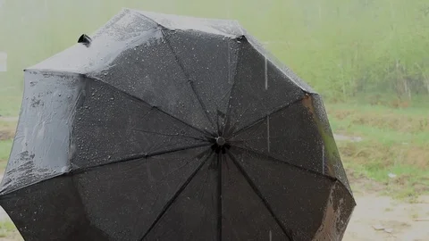The rain is pouring, the drops fall on a black umbrella, flowing down from it Stock Footage 90977928