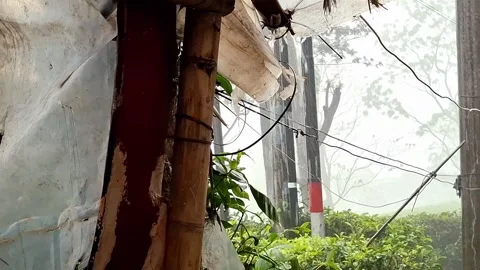 Rain pouring on top of village side small hut. Stock Footage 314464166