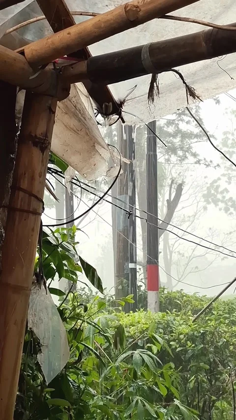 Rain pouring on top of village side small hut. Stock Footage 314464191