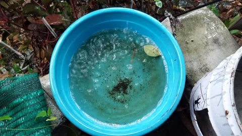 Rain pours into a basin Stock Footage 292457486