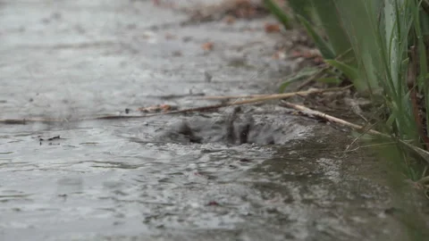 The rain pours down on the concrete 4K Stock Footage 90684772
