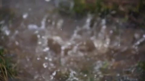 The rain pours into the mud and puddles on the ground. Stock Footage 310534113
