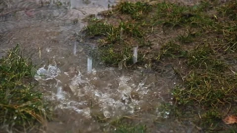 The rain pours into the mud and puddles on the ground. Stock Footage 341402271