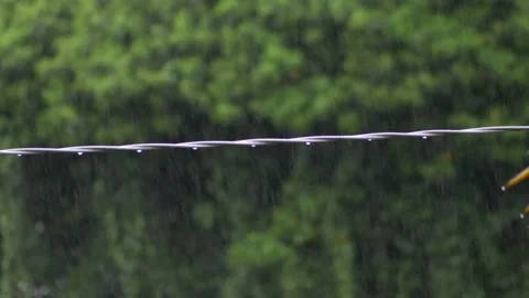 Rain on the power line. Slow motion 4K 库存影片 155247292