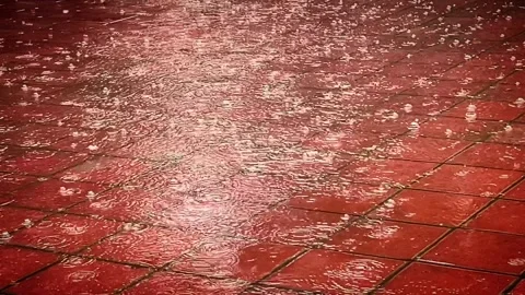 Rain Pudding: Playful Pitter-Patter on tiles Stock Footage 277272338