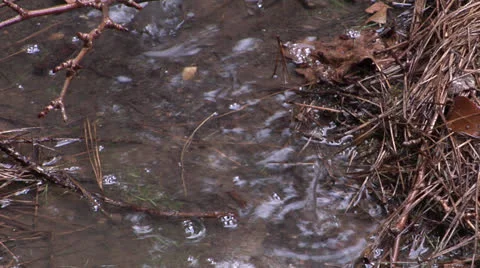 Rain Puddle 1 스톡 동영상 26991972