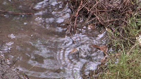 Rain Puddle 2 스톡 동영상 26992563