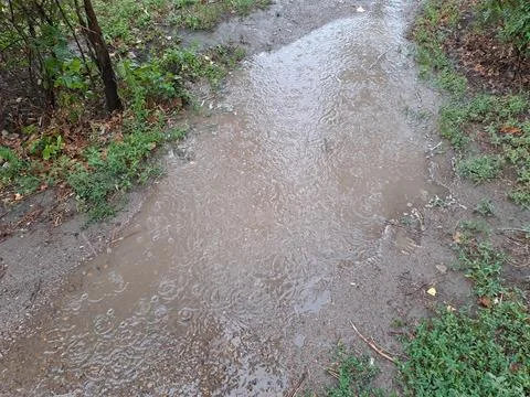 Rain puddle autumn Stock Photos