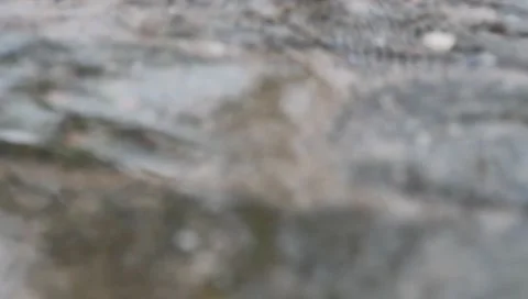 Rain in puddle on blurred pavement Stock Footage 8521331