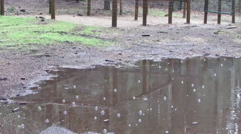 Rain Puddle at the Campground Stock Footage 44284621