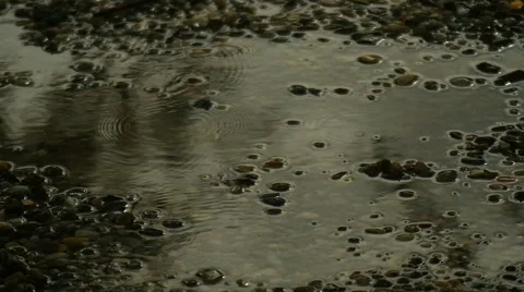 Rain Puddle on Dirt Road Video stock 42565300