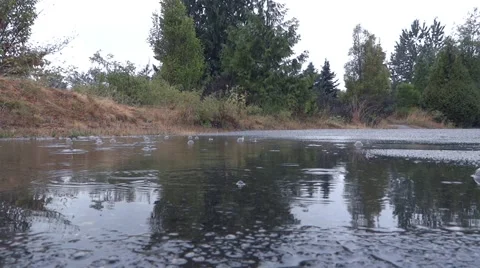 Rain - Puddle - Drops &amp; Bubbles - 01 Stock Footage 52856243