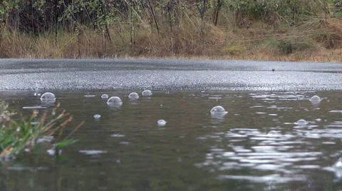 Rain - Puddle - Drops &amp; Bubbles - 02 Stock Footage 52857626