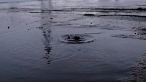 Rain on a puddle during a light rain storm. Stock Footage 80932650