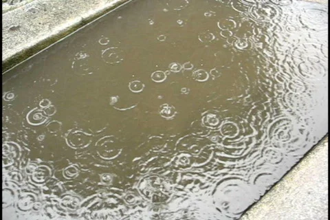 Rain in Puddle Stock Footage 151270